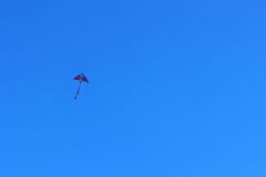 sazeni_24_10_2021_168