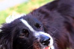 sazeni_24_10_2021_171