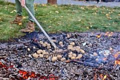 sazeni_24_10_2021_176