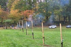 sad_rijen_2022_020