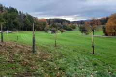 sad_rijen_2022_047