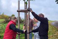 sad_rijen_2022_054