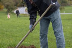 sad_rijen_2022_081