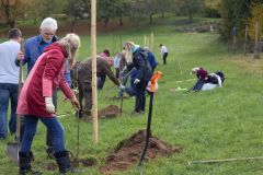 sad_rijen_2022_113