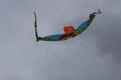 sad_rijen_2022_130