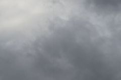 sad_rijen_2022_137