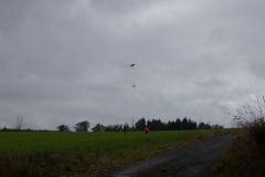 sad_rijen_2022_144