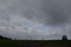 sad_rijen_2022_146