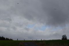sad_rijen_2022_147