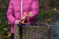 sad_rijen_2022_159