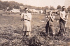 staré fotografie Myslotína
