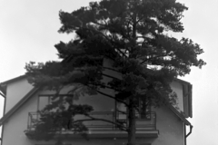 staré fotografie Myslotína