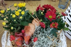 UKONČENÍ PRÁZDNIN a floristika 15.9.2018