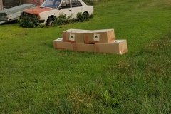 UKONČENÍ PRÁZDNIN a floristika 15.9.2018