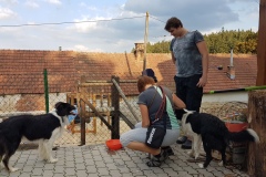 UKONČENÍ PRÁZDNIN a floristika 15.9.2018