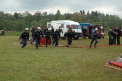 Vlásenice 2010