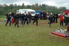 Vlásenice 2010