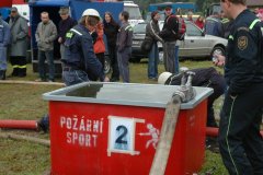Vlásenice 2010