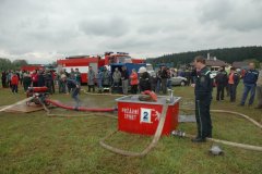 Vlásenice 2010