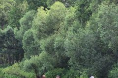 voda_Sazava_2025_114