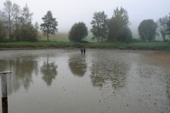 VÝLOV HORNÍHO RYBNÍKA 18.10.2014