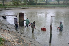 VÝLOV HORNÍHO RYBNÍKA 18.10.2014