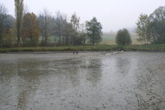 vylov_27.10.12_029