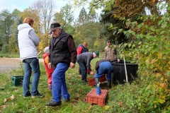 VÝLOV HORNÍHO RYBNÍKA A PRODEJ RYB 14.10.2017