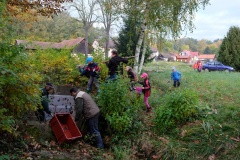 VÝLOV HORNÍHO RYBNÍKA A PRODEJ RYB 14.10.2017