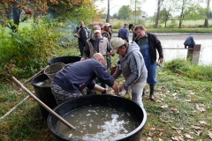 VÝLOV HORNÍHO RYBNÍKA A PRODEJ RYB 14.10.2017