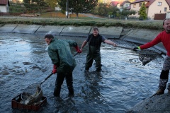 VÝLOV NÁVESÁKU A PRODEJ RYB 26.10.2019