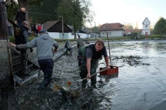VÝLOV NÁVESÁKU A PRODEJ RYB 26.10.2019
