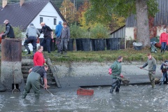 VÝLOV NÁVESÁKU A PRODEJ RYB 26.10.2019