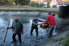 VÝLOV NÁVESÁKU A PRODEJ RYB 26.10.2019