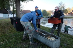 VÝLOV NÁVESÁKU A PRODEJ RYB 26.10.2019