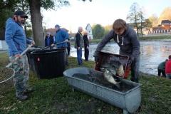 VÝLOV NÁVESÁKU A PRODEJ RYB 26.10.2019