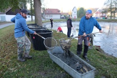VÝLOV NÁVESÁKU A PRODEJ RYB 26.10.2019