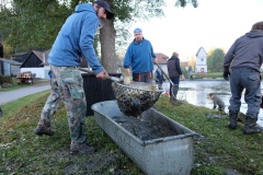 VÝLOV NÁVESÁKU A PRODEJ RYB 26.10.2019