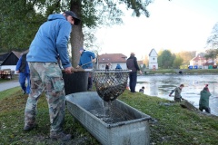 VÝLOV NÁVESÁKU A PRODEJ RYB 26.10.2019