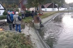 VÝLOV NÁVESÁKU A PRODEJ RYB 26.10.2019