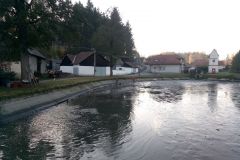 VÝLOV NÁVESÁKU A PRODEJ RYB 26.10.2019