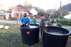VÝLOV NÁVESÁKU A PRODEJ RYB 26.10.2019