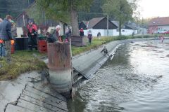 VÝLOV RYBNÍKA 13.října 2018