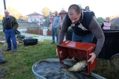 VÝLOV RYBNÍKA 13.října 2018