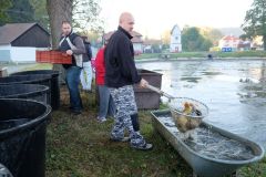 VÝLOV RYBNÍKA 13.října 2018