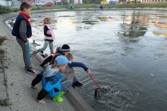 VÝLOV RYBNÍKA 13.října 2018