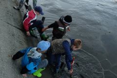 VÝLOV RYBNÍKA 13.října 2018