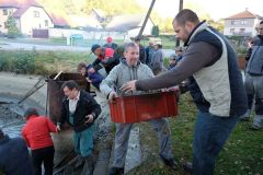 VÝLOV RYBNÍKA 13.října 2018