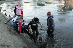 VÝLOV RYBNÍKA 13.října 2018