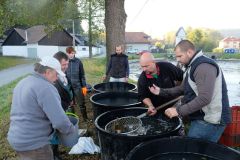 VÝLOV RYBNÍKA 13.října 2018
